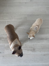 Load image into Gallery viewer, Bestie Bandana