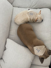 Load image into Gallery viewer, Bestie Bandana